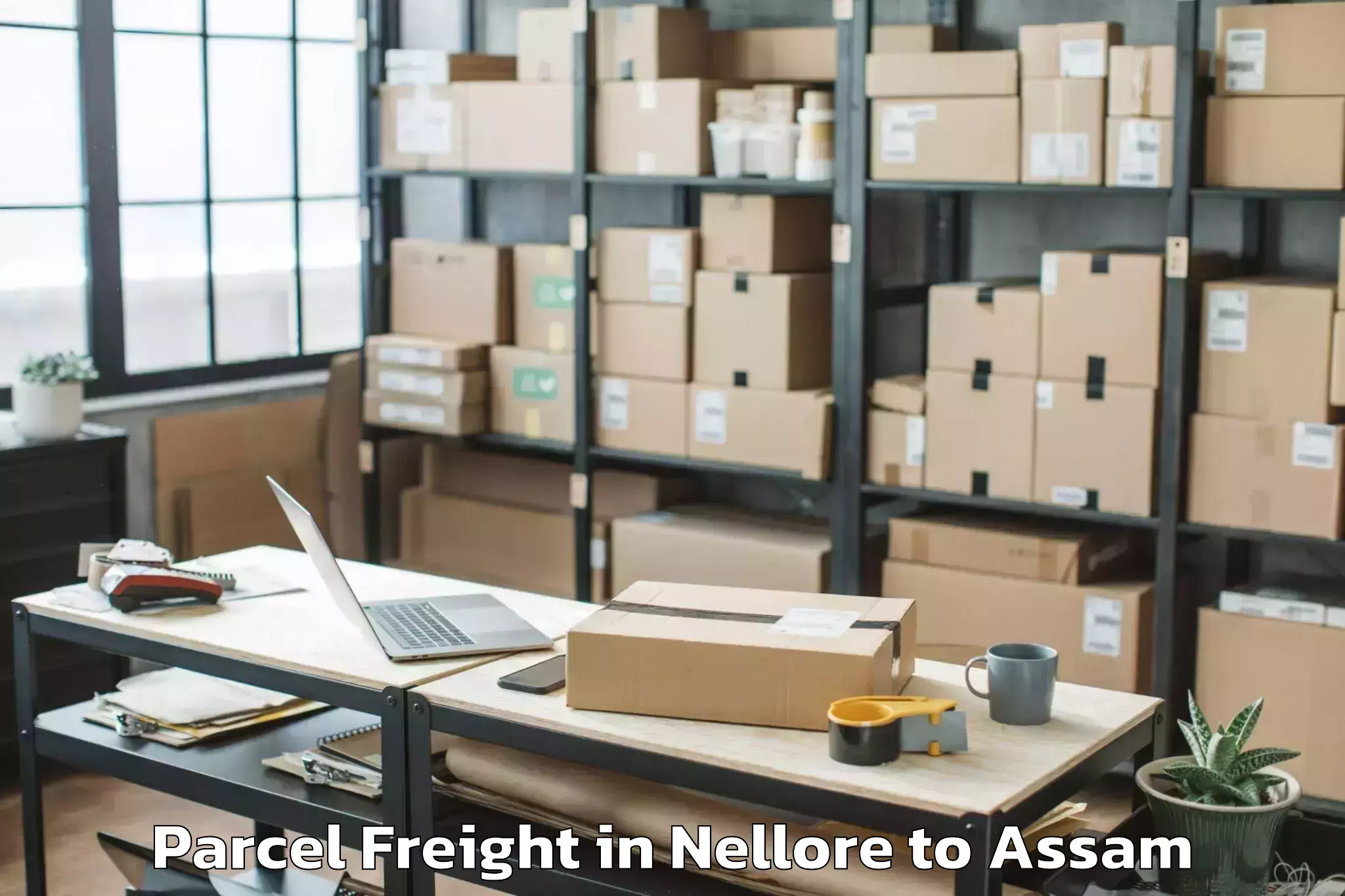 Easy Nellore to Kalaigaon Pt Parcel Freight Booking